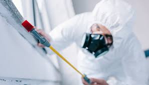 Best Residential Pest Control  in Silver Springs, FL